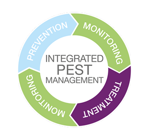 housekeeping services in delhi ncr